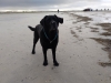 Nordsee H