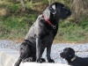 IMG_0021 (Small)