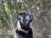 IMG_0025 (Small)