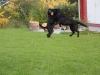 IMG_0055 (Small)