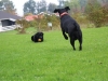 IMG_0124 (Small)