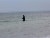 IMG_0197 (Small)