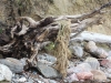IMG_0254 (Small)