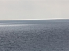 IMG_0296 (Small)