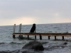 IMG_0333 (Small)