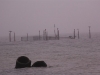 IMG_0354 (Small)