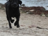 IMG_0022b (Small)