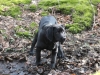 img_0018-small img_0018-small