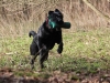img_0050-small img_0050-small