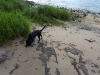 elbe-finkenwerder-003