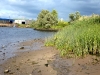 elbe-finkenwerder-005