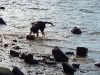 elbe-finkenwerder-007