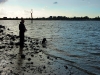 elbe-finkenwerder-014