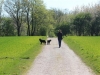 IMG_0024 (Small)