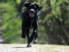 IMG_0031a (Small)