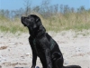IMG_0098 (Small)