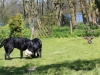 IMG_0130 (Small)