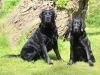 IMG_0205 (Small)