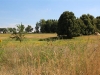 IMG_0037 (Small)
