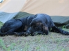 IMG_0121 (Small)