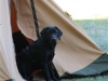 IMG_0127 (Small)