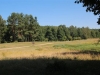 IMG_0132 (Small)