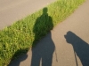 IMG_20150823_083849576