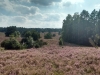 IMG_20150829_151713741_HDR