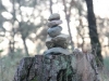 IMG_0061 (Small)