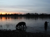 IMG_0118 (Small)