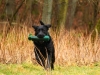 dummy_maerz-184-small