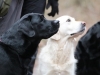 dummy-25022012-094-small