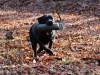dummy-25022012-205-small