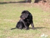 img_0067-small