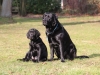 img_0077-small img_0077-small