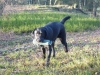 020MattiDummy3 020MattiDummy3