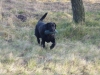 022bHenkDummy