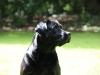 img_1508-small img_1508-small