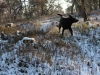 henk-und-kenny-in-wintermoor-januar12-034-small