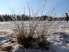 harburger-berge-februar-014