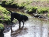 IMG_0014 (Small)