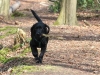IMG_0029 (Small)