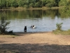 img_0079-small img_0079-small