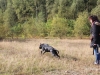 hen-balu-und-barny-051-small hen-balu-und-barny-051-small