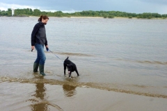 Henk an der Elbe