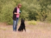 henk_4 (Small)