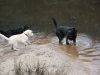 img_0098-small img_0098-small