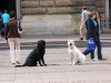 IMG_0149 (Small)