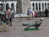 IMG_0177 (Small)