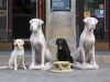 IMG_0241 (Small)